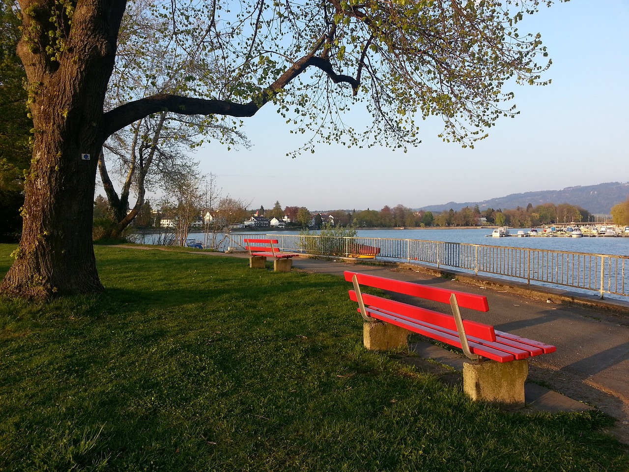 合作项目案 合作项目案