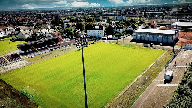 表现不尽如 表现不尽如