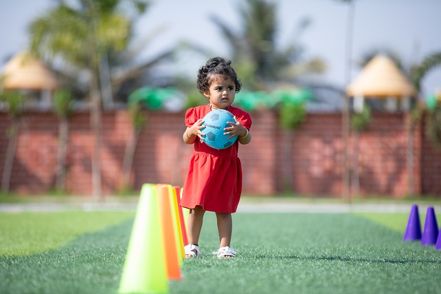 苏的态势 苏的态势