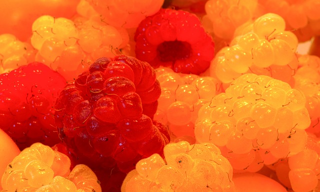 湖人的粉丝 湖人的粉丝