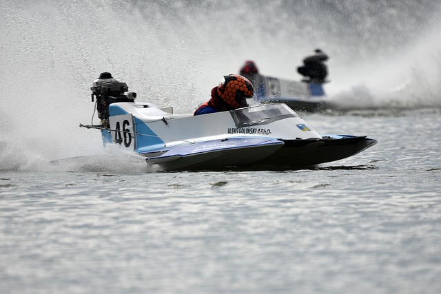 玫瑰的榮耀 玫瑰的榮耀