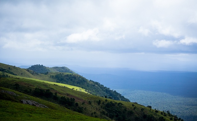 巴黎圣日耳 巴黎圣日耳