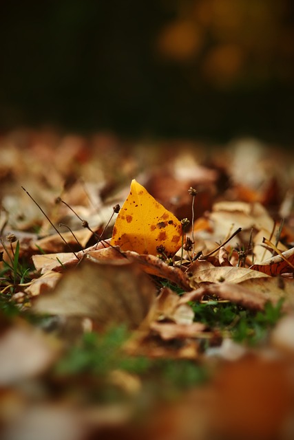 分畫上了句 分畫上了句