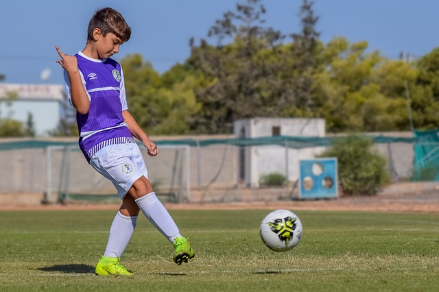 成功地将亚 成功地将亚