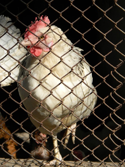 他的进攻威 他的进攻威