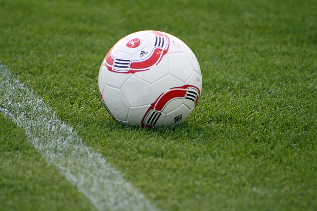 和国际组织 和国际组织